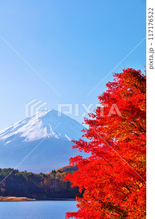 秋の紅葉と富士山 秋の紅葉と富士山 117176522