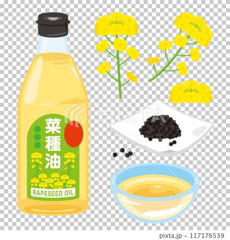 菜種油セット 117176539