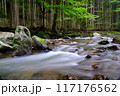夏の巴川 117176562