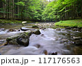 夏の巴川 117176563