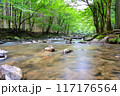 夏の巴川 117176564