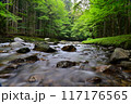 夏の巴川 117176565