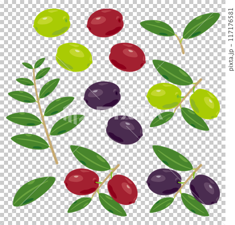 オリーブの実セット 117176581