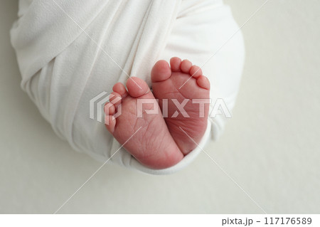 The tiny foot of a newborn. Soft feet of a newborn in a white blanket. Close up of toes, heels and feet of a newborn baby. Studio Macro photography. Woman's happiness. 117176589