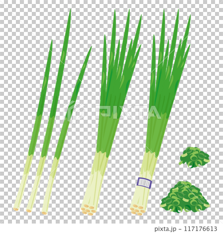 蔥套餐 蔥套餐 117176613