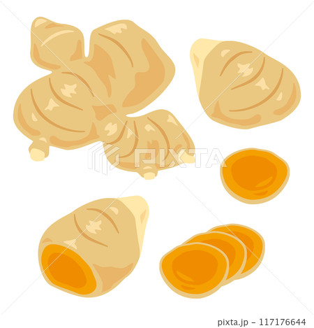 ウコンセット 117176644