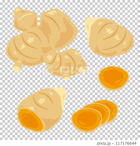 薑黃套裝 117176644