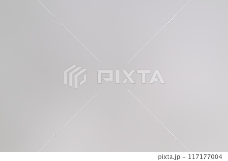 和紙によるボケ味を持つ背景素材（白色） 117177004