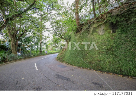 June 23 2024 the landscape of the Barker Road hong kong 117177031