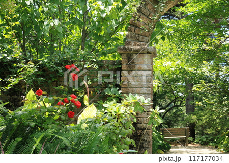 レンガのアーチがある庭園 レンガのアーチがある庭園 117177034
