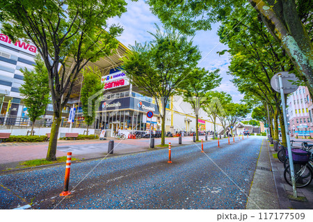 日本の横浜都市景観 地下鉄　センター南駅前の商店街。駐車禁止の道路標識や車線分離標＝6日 117177509