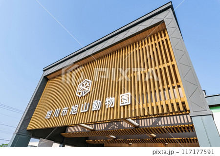 北海道旭川市　日本随一の人気を誇る動物園　快晴の旭山動物園 117177591