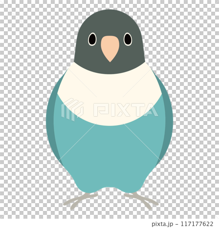 Button parakeet set Button parakeet set 117177622