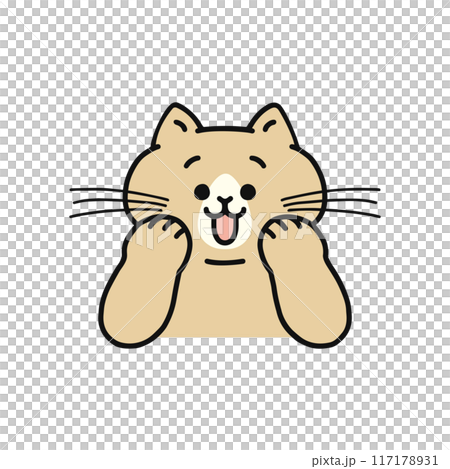 嬉しい表情の猫 117178931