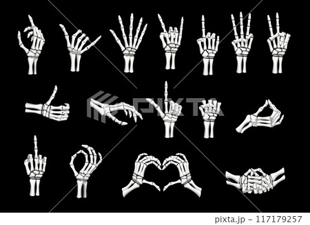 Skeleton hand gestures. Vector Halloween human skull finger bones showing peace, rock, ok, heart and love signs. Index finger pointing up, shaka, thumb up, fist, handshake and high five hand gestures 117179257
