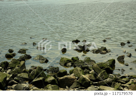 ゴロタ石の海岸 117179570