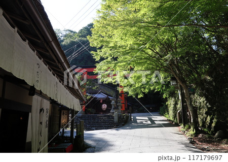 嵯峨鳥居本伝統的建造物群保存地区 【国土交通省 日本風景街道】（京都市右京区嵯峨野） 117179697