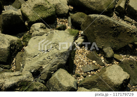 ゴロタ場 ゴロタ場 117179729