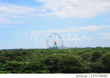 国営ひたち海浜公園　2023-8-12　＃50 117179930