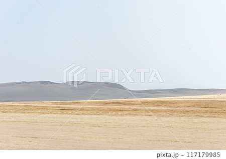 Barren desert landscape with sand dunes Barren desert landscape with sand dunes 117179985