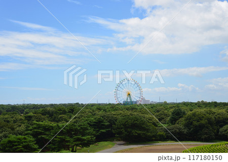国営ひたち海浜公園　2023-8-12　＃51 117180150