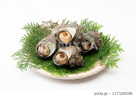 竹ざるに乗ったサザエ 117180596