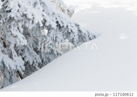 雪に覆われた木と山の斜面 117180612