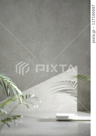 A gray-toned tile background with various props with sunlight coming through the window. 117180897