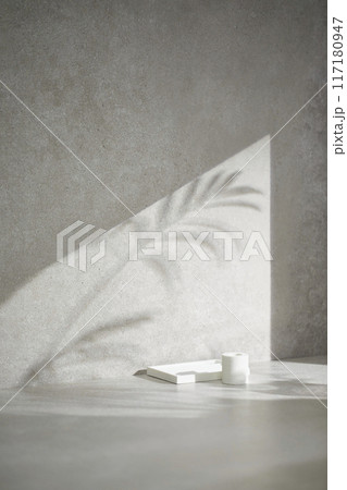 A gray-toned tile background with various props with sunlight coming through the window. 117180947