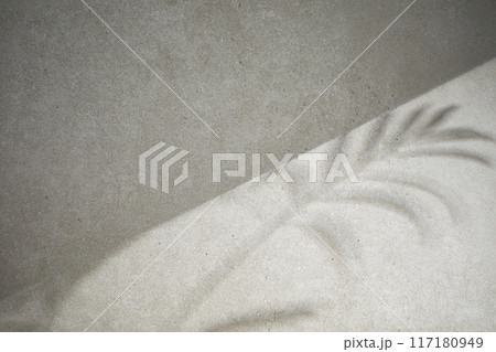 A gray-toned tile background with various props with sunlight coming through the window. 117180949