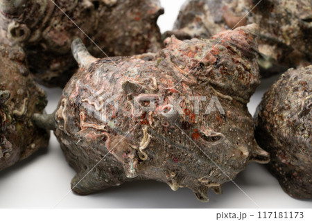 サザエの貝殻のクローズアップ背景 117181173