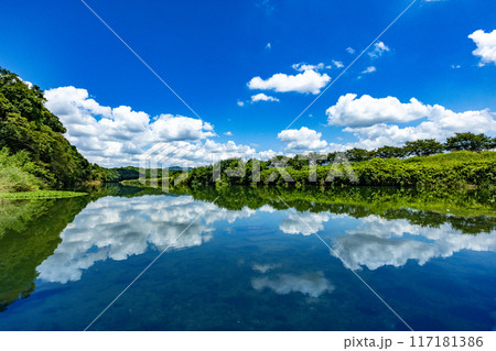 河原の夏空と白雲（その5） 117181386