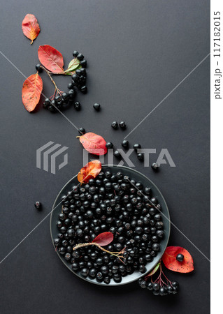 Black chokeberry (Aronia melanocarpa) with leaves. 117182015