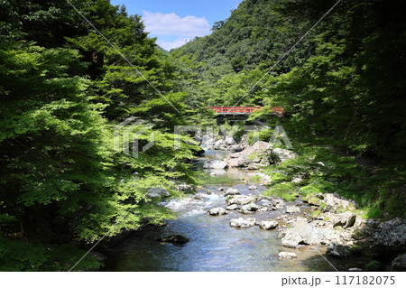 清滝(清滝川周辺散策)/ 京都市右京区嵯峨清滝地区 清滝(清滝川周辺散策)/ 京都市右京区嵯峨清滝地区 117182075