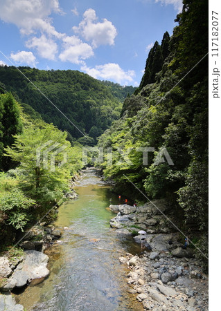 清滝(清滝川周辺散策)/ 京都市右京区嵯峨清滝地区 清滝(清滝川周辺散策)/ 京都市右京区嵯峨清滝地区 117182077
