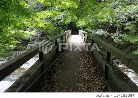 清滝（清滝川周辺散策・青竜橋）／ 京都市右京区嵯峨清滝地区 117182084