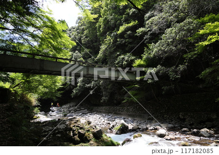 清滝(清滝川周辺散策・青竜橋)/ 京都市右京区嵯峨清滝地区 清滝(清滝川周辺散策・青竜橋)/ 京都市右京区嵯峨清滝地区 117182085