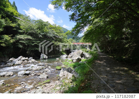 清滝(清滝川周辺散策・渡猿橋)/ 京都市右京区嵯峨清滝地区 清滝(清滝川周辺散策・渡猿橋)/ 京都市右京区嵯峨清滝地区 117182087