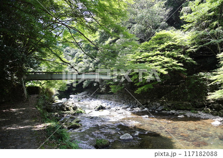 清滝(清滝川周辺散策・青竜橋)/ 京都市右京区嵯峨清滝地区 清滝(清滝川周辺散策・青竜橋)/ 京都市右京区嵯峨清滝地区 117182088