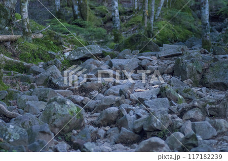 岩場 岩場 117182239