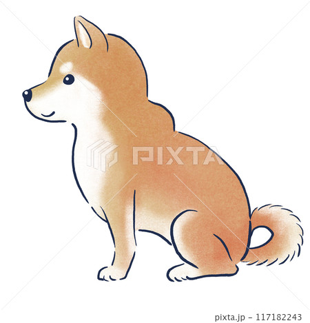 お座りする柴犬の横向き色鉛筆の手描きイラスト お座りする柴犬の横向き色鉛筆の手描きイラスト 117182243