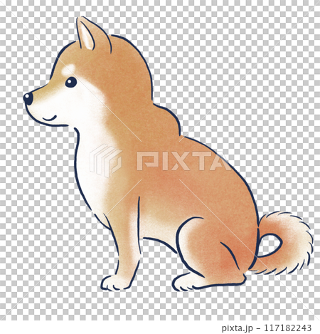 お座りする柴犬の横向き色鉛筆の手描きイラスト お座りする柴犬の横向き色鉛筆の手描きイラスト 117182243
