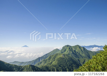 権現岳と富士山 権現岳と富士山 117182268