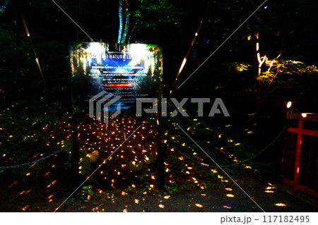 定山渓ネイチャールミナリエ2024 117182495