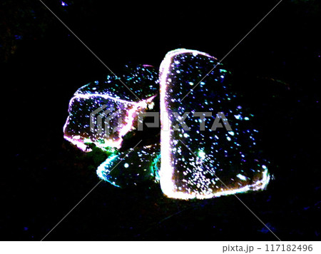 定山渓ネイチャールミナリエ2024 117182496