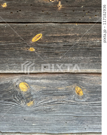 Old worn pine log. A knots with yellowed resin from age. 117182936