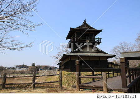 茨城県坂東市の逆井城跡の早春の風景 茨城県坂東市の逆井城跡の早春の風景 117183211
