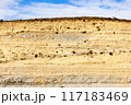 地層の断面 117183469