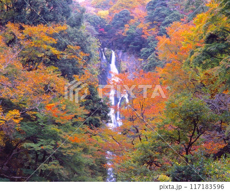 「日本の滝百選」神庭の滝（かんばのたき）と色とりどりな紅葉/「日本百景」/「国指定名勝」 117183596