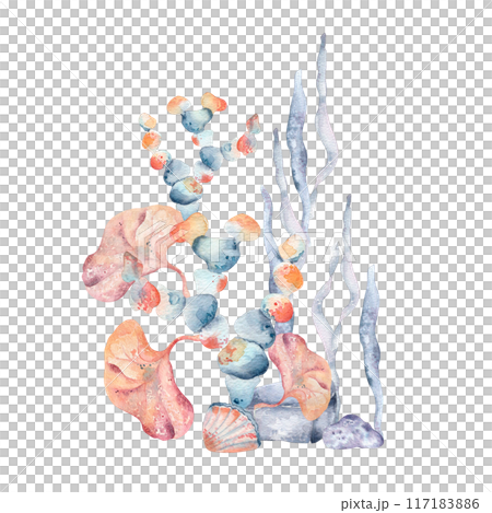 Seaweeds various form and type in colorful pink and blue watercolor. Aquatic plants illustration painting in a soft orange and dusty blues. Underwater world concept with ocean flora hand drawn Seaweeds various form and type in colorful pink and blue watercolor. Aquatic plants illustration painting in a soft orange and dusty blues. Underwater world concept with ocean flora hand drawn 117183886